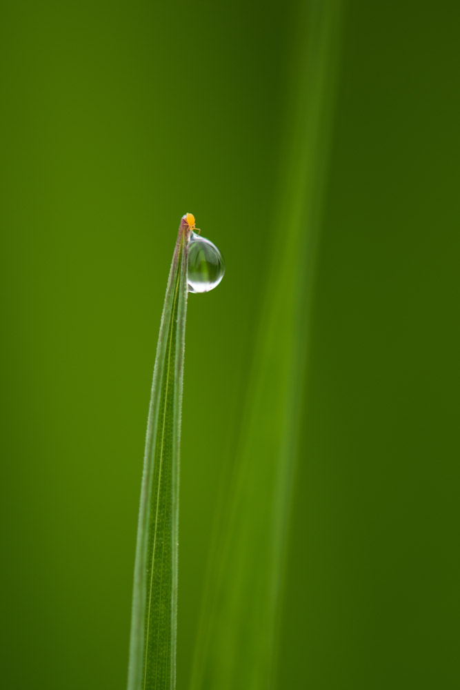 Platz 5 Roalnd Menigat